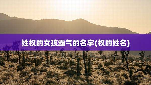 姓权的女孩霸气的名字(权的姓名)