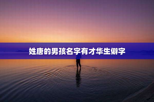 姓唐的男孩名字有才华生僻字