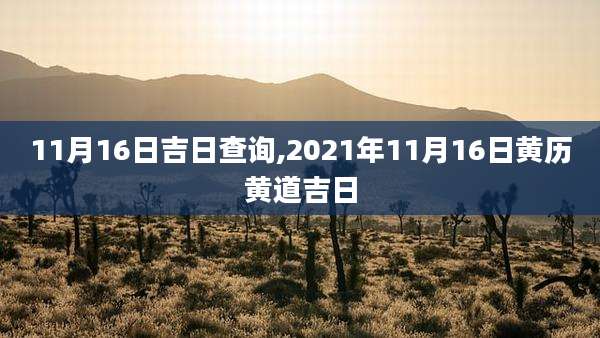11月16日吉日查询,2021年11月16日黄历黄道吉日