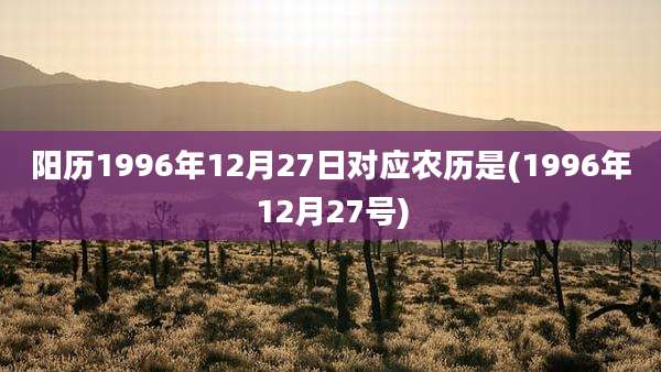 阳历1996年12月27日对应农历是(1996年12月27号)