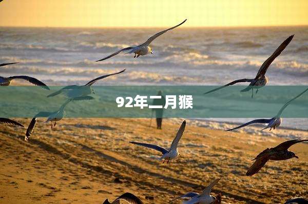 92年二月猴