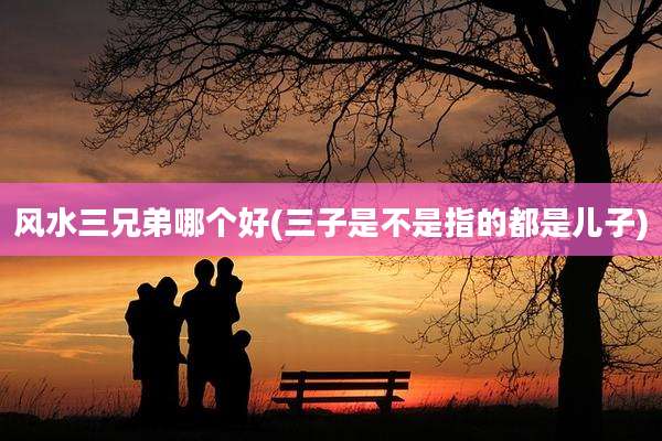 风水三兄弟哪个好(三子是不是指的都是儿子)