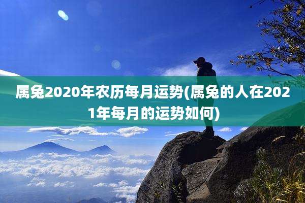属兔2020年农历每月运势(属兔的人在2021年每月的运势如何)