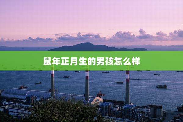 鼠年正月生的男孩怎么样