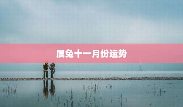 属兔十一月份运势