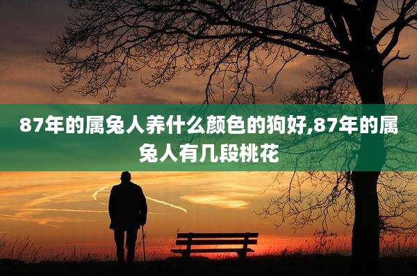 87年的属兔人养什么颜色的狗好,87年的属兔人有几段桃花