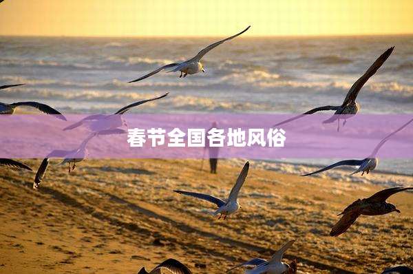 春节全国各地风俗