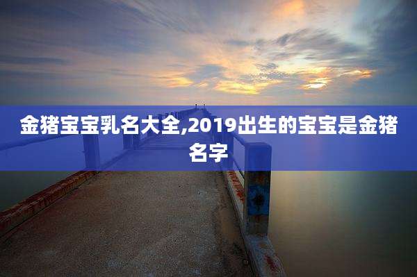 金猪宝宝乳名大全,2019出生的宝宝是金猪名字
