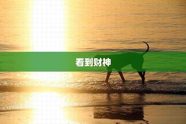 看到财神