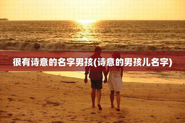 很有诗意的名字男孩(诗意的男孩儿名字)