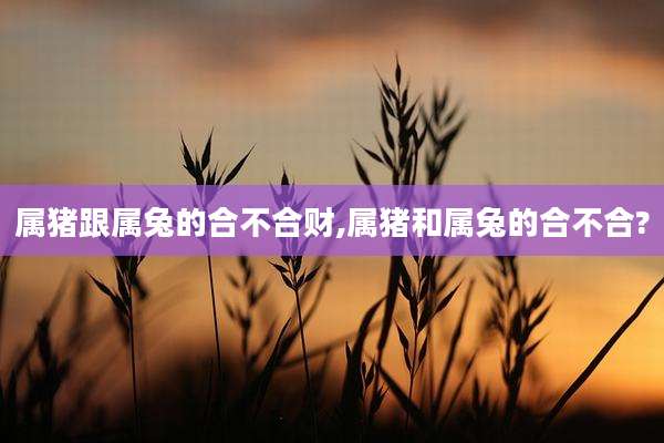 属猪跟属兔的合不合财,属猪和属兔的合不合?