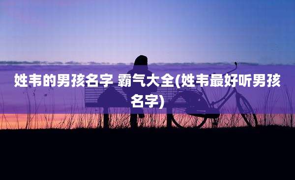 姓韦的男孩名字 霸气大全(姓韦最好听男孩名字)