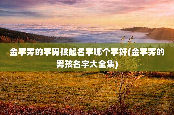 金字旁的字男孩起名字哪个字好(金字旁的男孩名字大全集)