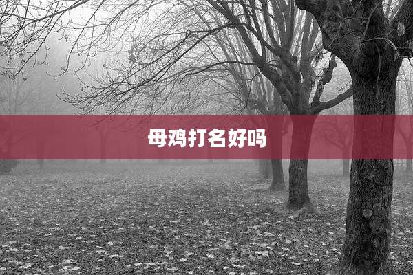母鸡打名好吗