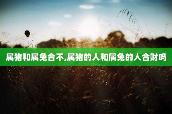 属猪和属兔合不,属猪的人和属兔的人合财吗