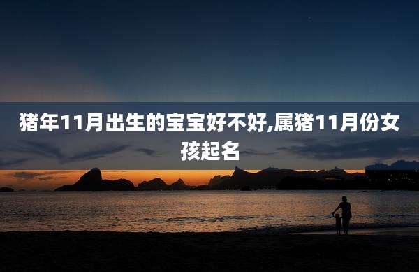 猪年11月出生的宝宝好不好,属猪11月份女孩起名