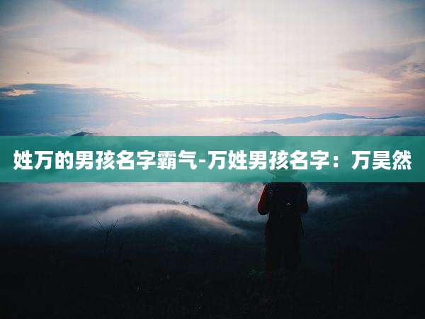 姓万的男孩名字霸气-万姓男孩名字：万昊然