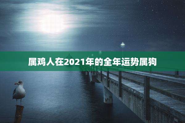 属鸡人在2021年的全年运势属狗