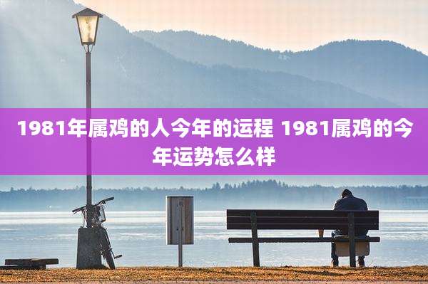 1981年属鸡的人今年的运程 1981属鸡的今年运势怎么样
