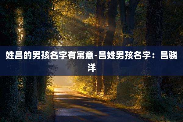 姓吕的男孩名字有寓意-吕姓男孩名字：吕骁洋