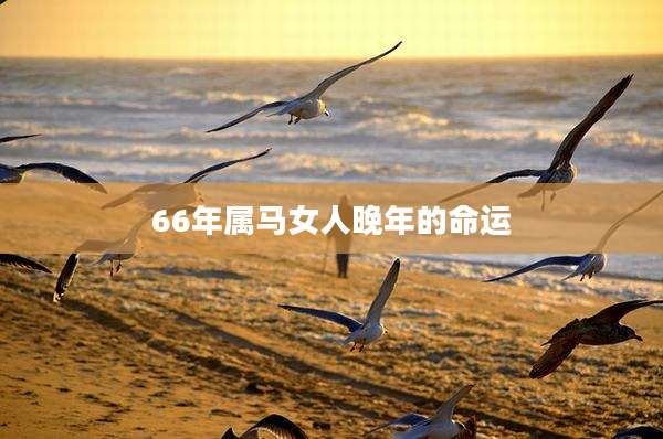 66年属马女人晚年的命运