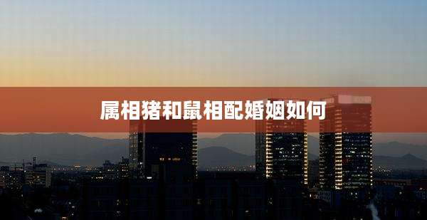 属相猪和鼠相配婚姻如何