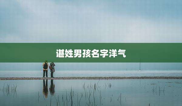 谌姓男孩名字洋气