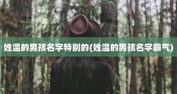 姓温的男孩名字特别的(姓温的男孩名字霸气)