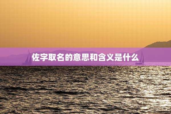 佐字取名的意思和含义是什么