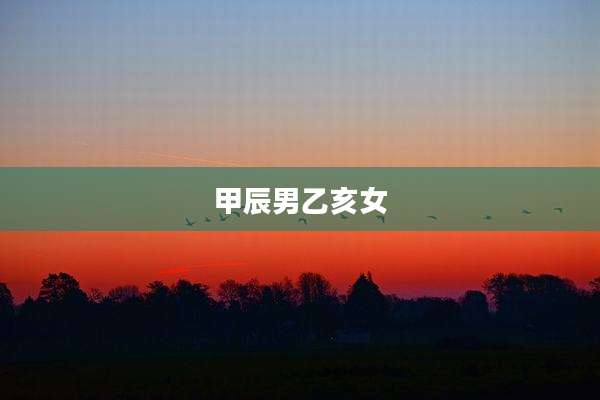 甲辰男乙亥女