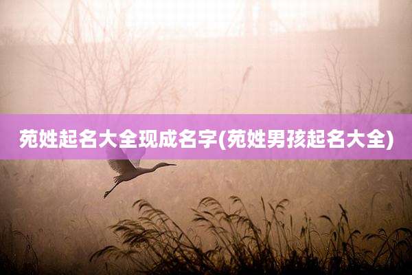 苑姓起名大全现成名字(苑姓男孩起名大全)