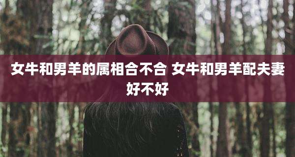 女牛和男羊的属相合不合 女牛和男羊配夫妻好不好
