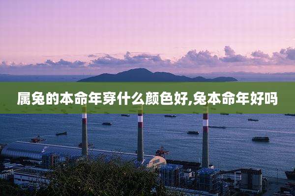 属兔的本命年穿什么颜色好,兔本命年好吗