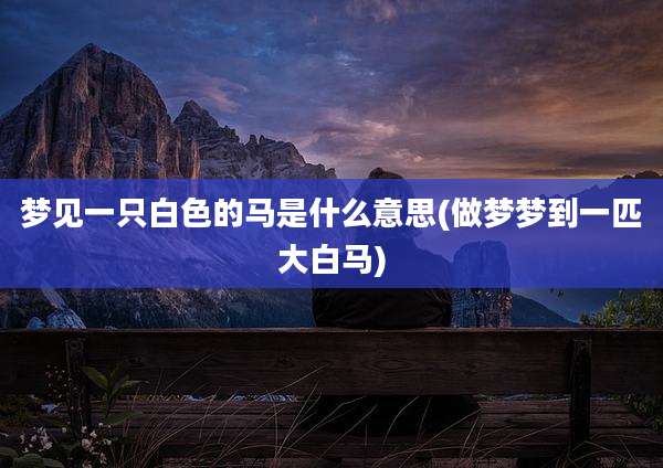 梦见一只白色的马是什么意思(做梦梦到一匹大白马)