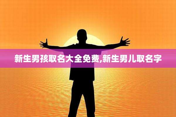 新生男孩取名大全免费,新生男儿取名字