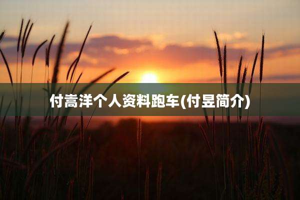 付嵩洋个人资料跑车(付昱简介)