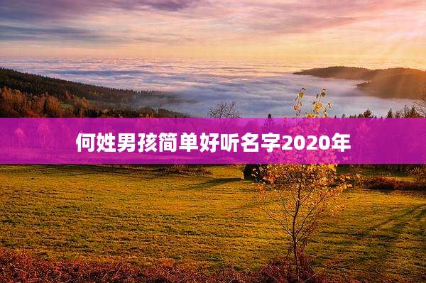 何姓男孩简单好听名字2020年