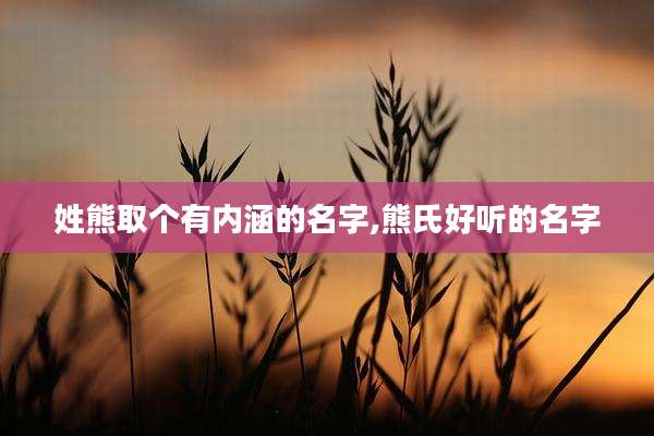 姓熊取个有内涵的名字,熊氏好听的名字