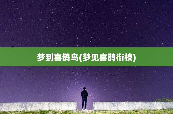 梦到喜鹊鸟(梦见喜鹊衔枝)