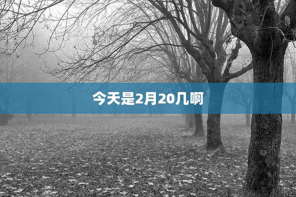 今天是2月20几啊