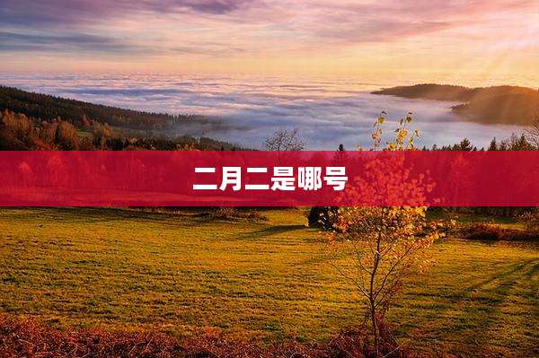 二月二是哪号