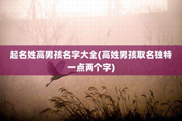 起名姓高男孩名字大全(高姓男孩取名独特一点两个字)