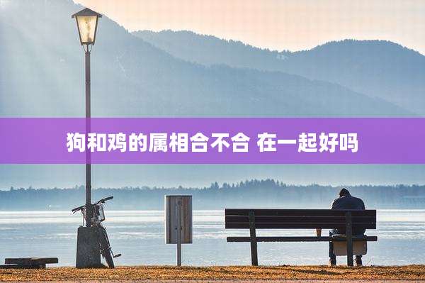 狗和鸡的属相合不合 在一起好吗