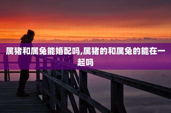 属猪和属兔能婚配吗,属猪的和属兔的能在一起吗