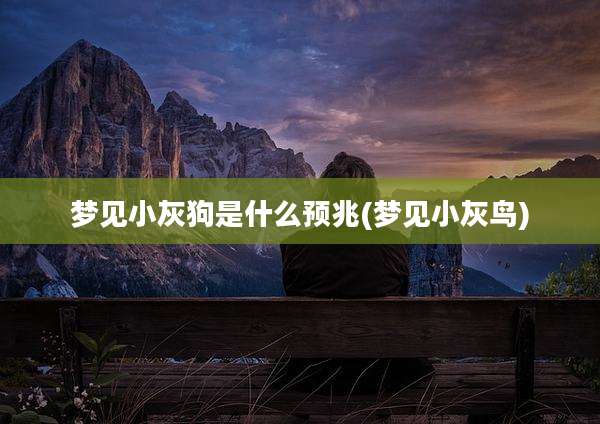 梦见小灰狗是什么预兆(梦见小灰鸟)