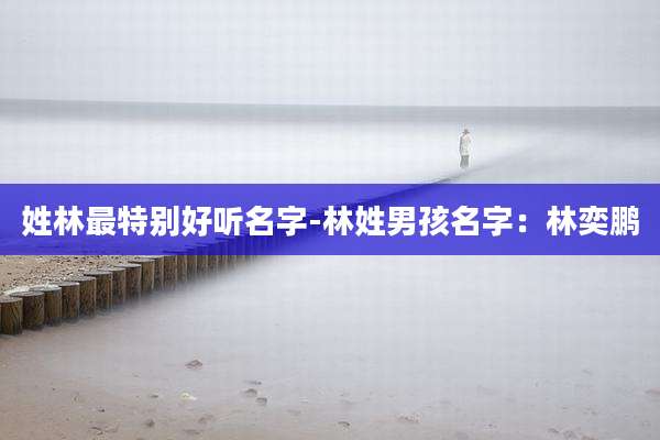 姓林最特别好听名字-林姓男孩名字：林奕鹏