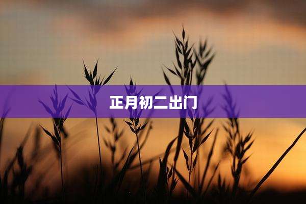 正月初二出门