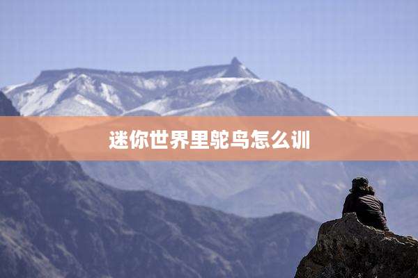 迷你世界里鸵鸟怎么训