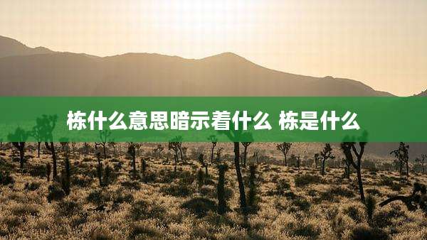 栋什么意思暗示着什么 栋是什么