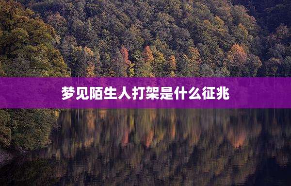 梦见陌生人打架是什么征兆